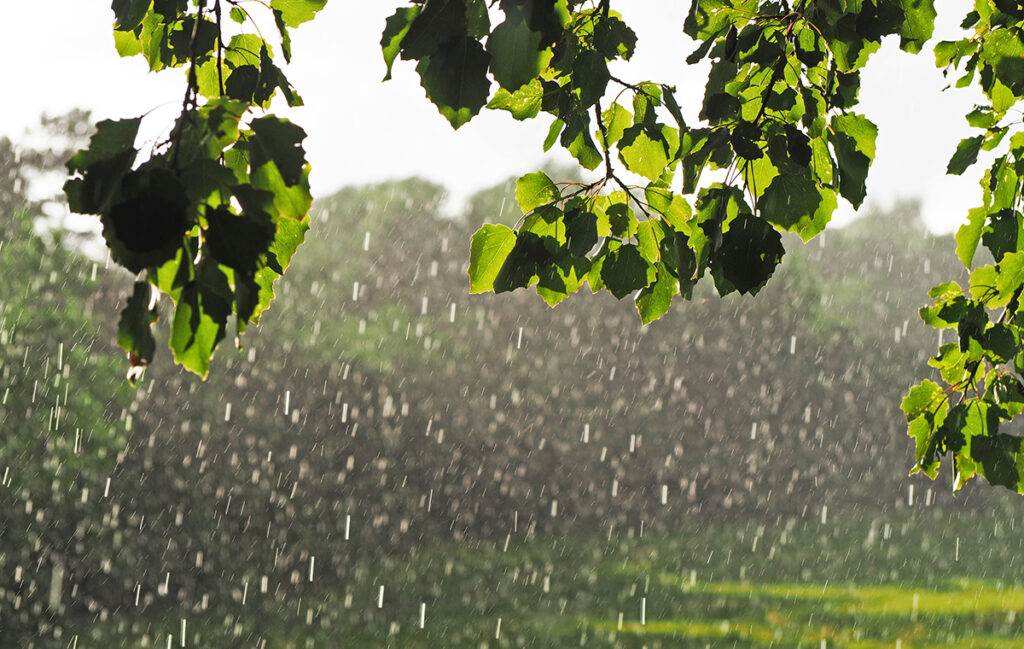 天気雨